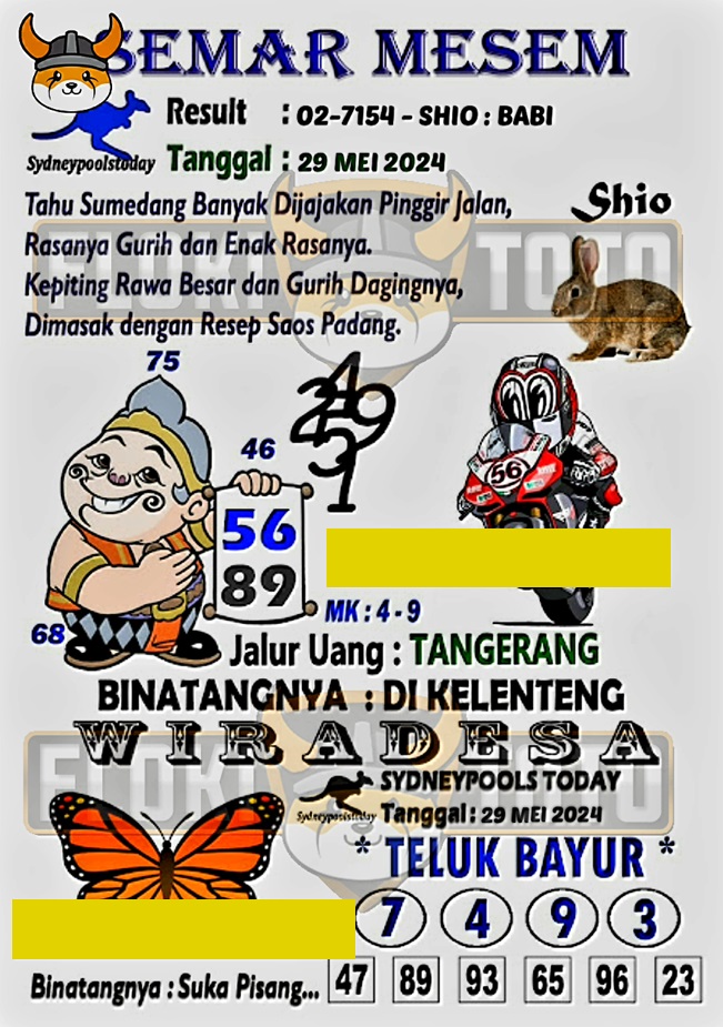 SYAIR SDY VIP